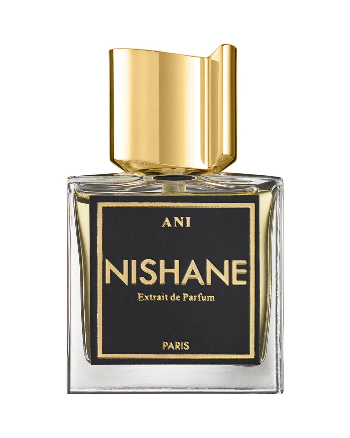 Nishane Ani Extrait de Parfum (100ml) - FragranceGems